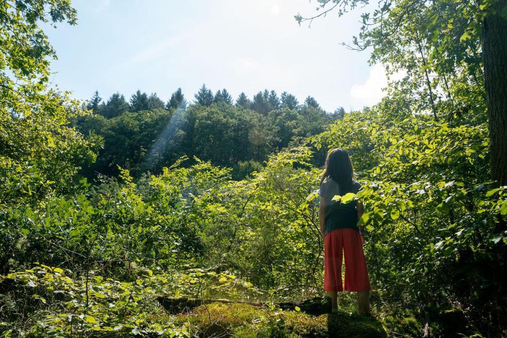 Camping Bockenauer Schweiz Eksteriør billede