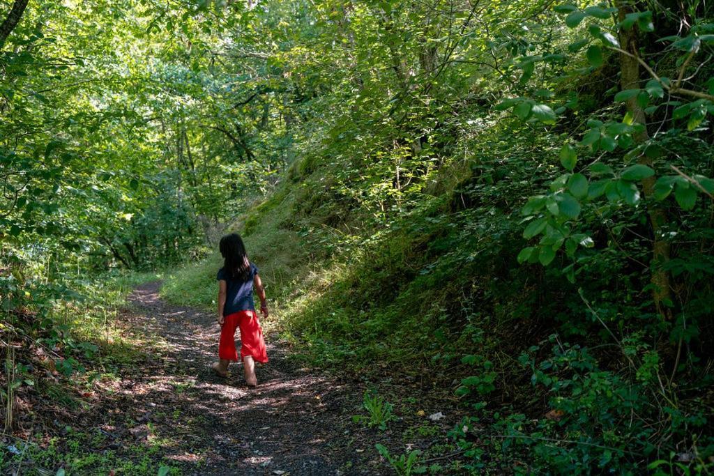 Camping Bockenauer Schweiz Eksteriør billede